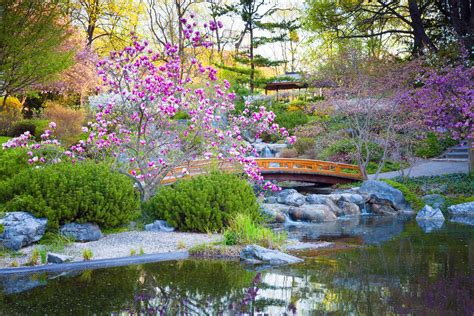  The Japanese Garden: A Journey Through Tranquility and Time – Unveiling Nature’s Timeless Beauty